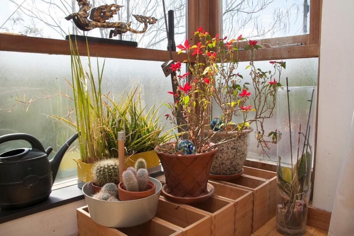 ※ Relaxing Home- Parking & Gorgeous Gardens Bath Exterior foto